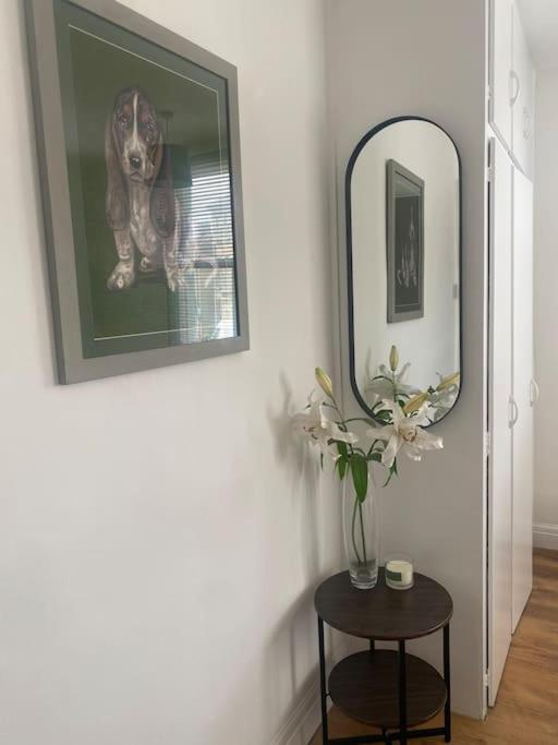 Cute 1 Bed Flat In Apartment